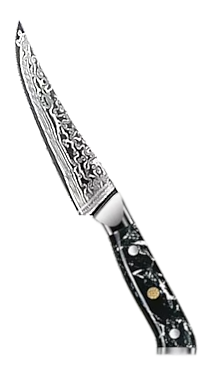 Damascus Cutlery 