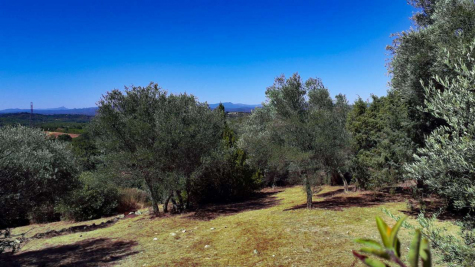 Farmhouse Languedoc-Roussillon - Gard | France