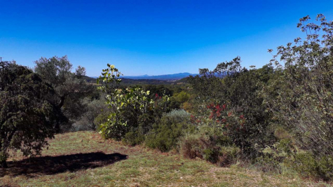 Farmhouse Languedoc-Roussillon - Gard | France