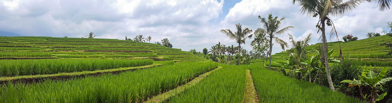 Bali & Indonesia Island Cruise