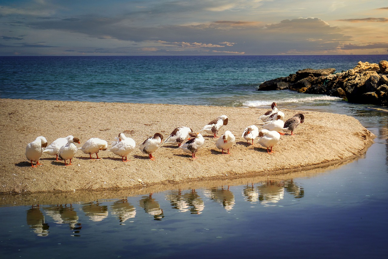 Car Hire Crete