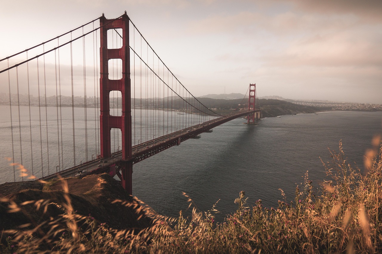 Electric Car Hire SF