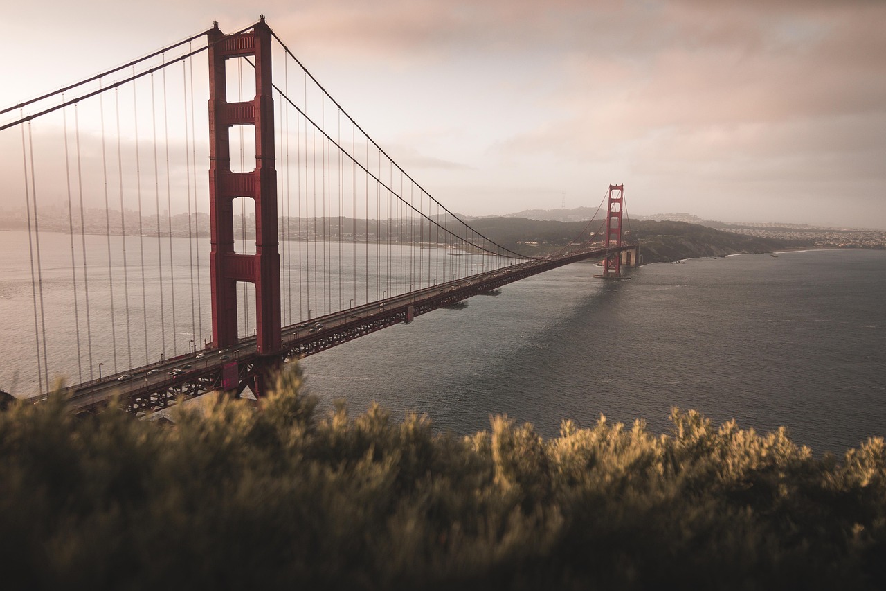Electric Car Hire SF