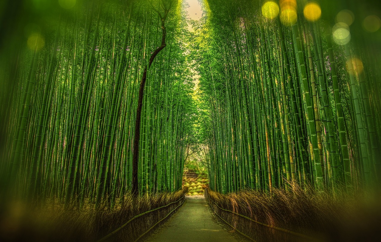 Hybrid Car Hire Kyoto