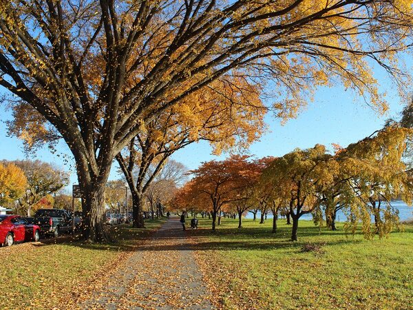 Potomac River Cruises