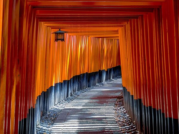Japan Uncovered