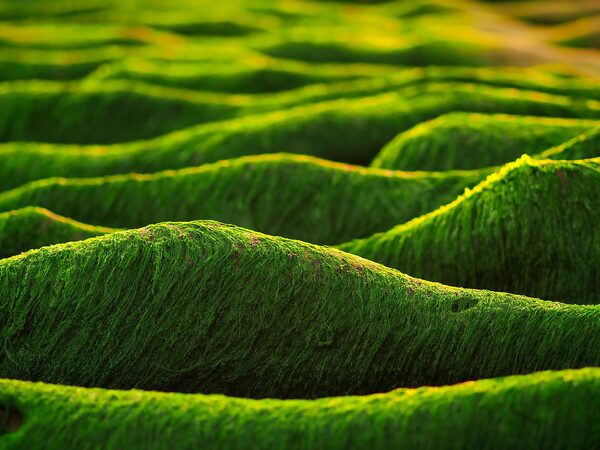 Treasures of Taiwan